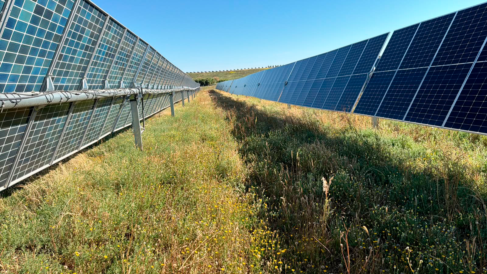 Commercial solar